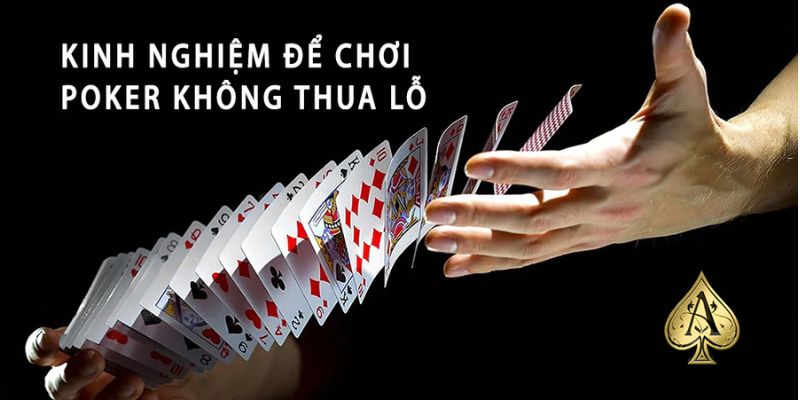 Kiên nhẫn chờ cơ hội chiến thắng