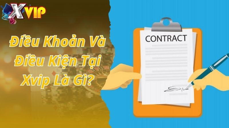 Điều khoản và điều kiện tại Xvip là gì?