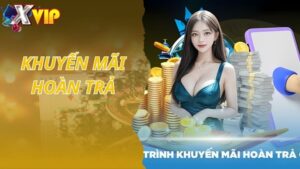 Khuyến Mãi Hoàn Trả Xvip Hỗ Trợ Bet Thủ Khởi Nghiệp Thành Công