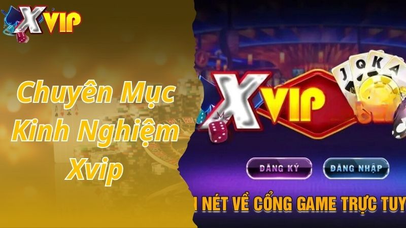 Chuyên mục kinh nghiệm Xvip là gì?