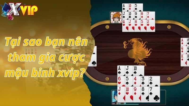 Tại sao bạn nên tham gia cược mậu binh xvip? 