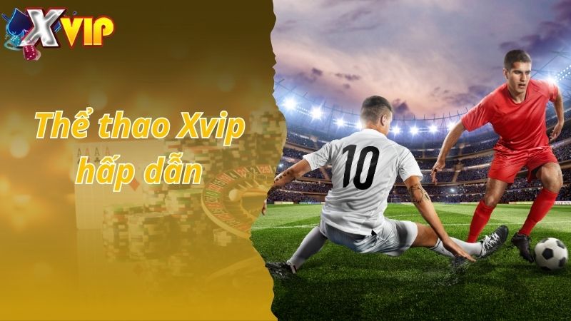 Tìm hiểu về sảnh thể thao Xvip