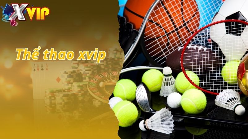 Thể Thao Xvip - Chuyên Mục Kiếm Tiền Cực Nhanh Cho Tân Thủ