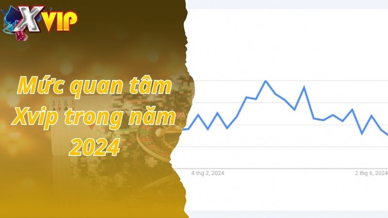 Mức quan tâm Xvip trong năm 2024